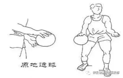为什么青少年篮球运动员需要注重敏捷性训练_0